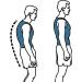 Posture Corrector for Men and Women Spine Back Support Back Brace Support Belt Pain Relief for Neck Back Shoulders Adjustable Breathable Waist Straps (Size : XXXXL) (X) - Buy Online on GoSupps.com