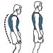 Posture Corrector Back Brace For Men And Women- Lumbar Support Belt Adjustable Straightener For Mid Upper Spine Support- Neck Shoulder Clavicle Pain Relief Corrector (Size : 3XL) - Buy Online on GoSupps.com