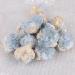 Natural Crystal Rough Wholesale Natural Blue Celestite Crystal Geode Rough Quartz Geodes 6pc - Buy Online on GoSupps.com
