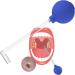Gerrit Tonsillenstein removed for removing tonsil stones |Almond stones cupping glass |Remove almond stones effective mouth cleaning tonsil stone remover tools for bad breath