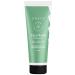 Arata Refreshing Face Wash With Ayurvedic Lemon Oil  Peppermint & Organic Flaxseed | EWG Certified  All Natural  Vegan & Cruelty-Free | Gently Exfoliates & Reduces Oil | For Women & Men - 1.7 Fl Oz 1.7 Fl Oz (Pack of 1)