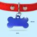 Personalized Bone-Shaped Pendants for Medium & Large Dogs and Cats | Ibera Gifts - Custom Engraved Dog Collars & Neckbands in Blue Hearts - Buy Online on GoSupps.com