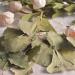 Zercumm Ginkgo Leaf 500G Folium Ginkgo Bilobae Ginkgo Tea - Buy Online on GoSupps.com