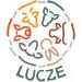 Lucze Premium - Polmoni per cani secchi 1 kg Premium quality natural product - Buy Online on GoSupps.com