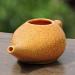 Ancient Impex Ceramic Neti Pot (270 ml) + 5 Neti Salt Sachets | Natural Sinus Relief - Orange Crackle Pattern - Buy Online on GoSupps.com