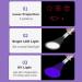 Laser Pointer Interactive Cat Toy | Rechargeable Red Laser Light for Cats, Kittens, Dogs | Exercise & Training Tool - Purple - Buy Online on GoSupps.com