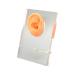Silicone Ear Model Easy to Use Right Ear Model Fine Details for ENT Hospitals