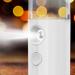 Pulv risateur de Brume Faciale Nano Taille de Poche d'humidificateur de Visage d'eau Apparence Simple Logement d'ABS Absorption Facile pour le (Blanc) - Buy Online on GoSupps.com