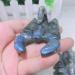 Crystal Rough 1pcs Natural Blue Labradorite Hand Crved Scorpion Polished Crystal Stones for Sale