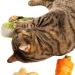 Silvervine Jumbo Chinese Cabbage Cuddle Toy - Buy Online on GoSupps.com