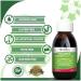 Herbion Children's Cough Syrup 150ml - Soothing Relief for Kids - Buy Online on GoSupps.com