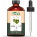 Ridge Gourd (Luffa Acutangula) Oil | Pure & Natural Carrier Oil for Skincare & Haircare - 118ml/3.99fl oz