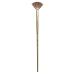 Princeton Series 6600 Synthetic Mongoose Oil & Acrylic Brushes 12 fan