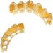 Hip Hop Teeth Grillz Iced Out Zircon Vampire Grills Top Bottom Grill Set for Men Women Gold lower teeth - Buy Online on GoSupps.com