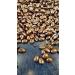 QUARTA Coffee Variety ROSSA BEANS A strong and intense flavor 250 g 1 pack of 250 g. Produced in Puglia Salento Italy. - Buy Online on GoSupps.com