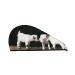 Cute Goat Baby Microfiber Hair Towel Soft Super Absorbent Hair Towel Wrap for Women Coral Velvet Quick Dry Hair Cap for Long Curly Short and Thick Hair Cute Goat Baby One Size