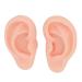 Soft Silicone Ear Model for Beginners - Realistic Ear Piercing Practice & Earring Display Prop (Light Skin) - International Shipping Available - Buy Online on GoSupps.com