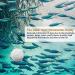 BPS 10x Weekend Fish Food 3 Days for All Kinds of Aquarium Fish Food Blocks BPS-4126*2 - Buy Online on GoSupps.com