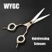 Professional Hairdressinghaircutting scissors with Double Tail 6.0Inches Set 440C Salon Sharp and Precise Cut Barberhaircutting scissors Combination Set Used with Both Hands for Ri - Buy Online on GoSupps.com