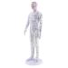 SDENSHI Model Anatomy Professional Medical Acupuncture Male 50cm 20" - Buy Online on GoSupps.com
