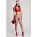 Shop Lucky Cheeks Women's Luxury Mini V-String Christmas Flower - Red XL | International Shipping Available - Buy Online on GoSupps.com
