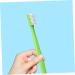 Buy Gatuida Double-Sided Ergonomic Interspace Toothbrush Set - 4 Pieces Travel & Wisdom Gap Brush - Buy Online on GoSupps.com