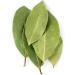 Dried Bay Leaves | Tej Patta | 50g | Hand Selected & Gently Dried | 100% Pure & Natural - Buy Online on GoSupps.com