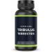 Vishopy Wellness Tribulus Terrestris Extract (Gokshura) - 1000mg Capsules 60