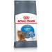 Royal Canin Light Weight Care Dry Cat Food 3kg 3 kg (Pack of 1) - Buy Online on GoSupps.com