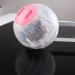 VTurboWay 2 Pcs Hamster Running Ball Plastic Exercise Ball Hamster Useful Transparent Mini Training Ball (Dia: 4.7 inch) - Buy Online on GoSupps.com