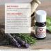 Healing Solutions Health Shield Blend - 100% Pure Therapeutic Grade Essential Oil 10ml | International Shipping Available - Buy Online on GoSupps.com