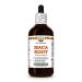 Maca Root Alcohol-Free Extract Glycerite for Natural Energy Enhances Vitality and Passion Supports Emotional Balance Maintains Comfort During Female Changes - 4 fl.oz 4 Fl Oz (Pack of 1)