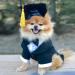 Pet Graduation Cap Dog Graduation Hat with Yellow Tassel Pet Grad Costume Party Apparel Holiday Accessory for Dogs Cats - Buy Online on GoSupps.com