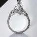 Pteanecay 2.5X Magnifying Glass Pendant Magnifying Glass Necklace Suitable for Reading Books Magazines and Newspapers - Buy Online on GoSupps.com
