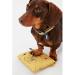 Rosewood Joules Go Lightly Packaway Jacket For Dogs Small - Buy Online on GoSupps.com