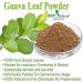 Guava leaves Powder|Psidium guajava|Dried Pure Guava leaf |Amrood Patti - 400 Gm - Buy Online on GoSupps.com