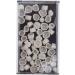 100 PCS Mixed Dental Temporary Crown Veneers - Anterior, Front & Back Molar Teeth - 50 of Each - Buy Online on GoSupps.com