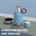 Asobu Pet Dog Bowl & Insulated Stainless Steel Water Bottle for Travel - 1L Blue | Perfect Pet Travel Gear - Buy Online on GoSupps.com