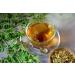 Chai xpress Morninga Tea | 25 Tea Bags | Caffeine free | No Artificial Flavourings | No Preservatives | 50g (Pack Of 2) - Buy Online on GoSupps.com