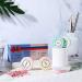 Christmas Shower Bombs Gift Set - 6 Essential Oils Vapor Steam Tablets for Aromatherapy & Home Relaxation - Buy Online on GoSupps.com