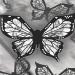 Butterfly Eyeliner Stencil Butterfly Stencil For Eyeliner Butterfly Eyeliner Stamp Eyeliner Stamp Tool Winged Eyeliner Stamp Eyeliner Stencils For Eyes Wing Reusable Flexible Eyeliner Stencil Stamp (2) - Buy Online on GoSupps.com