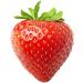 Flavour Factory DIY Flavour Concentrates for E-Liquids Blueberry Strawberry Raspberry (3 x 28.5ml) - Buy Online on GoSupps.com