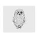2 x 'Cute Owl' Microfiber Lens/Eyeglass Cleaning Cloths (LC00021050)