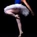 WalBryka High Elastic Ballet Dance Tights - Convertible & Ultra Soft Pantyhose | Pink XS-S (4 Pack) - Buy Online on GoSupps.com