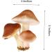 DECHOUS 18 Pcs Simulated Mushroom Emulation Mushroom Flower Pot Bonsai Decor Simulation Mini Mushroom Glass Faux Artificial Plants Indoor Mini Froth Adornment Delicate Child Iron Wire Food Assorted Colorx3pcs 9X8CMx3pcs - Buy Online on GoSupps.com