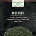 Frontier Co-op Organic Dill Weed - 1 lb. Bulk Bag | Certified, Kosher, Anethum graveolens L - Buy Online on GoSupps.com