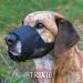 Trixie 19262 Black Dog Muzzle with Mesh Insert - Polyester S-M | 1 Piece for Comfortable & Safe Training - Buy Online on GoSupps.com