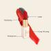 EPILYNX Dr. Liia Matte Lipstick - Vibrant & Soft Shades - Gluten Free, Vegan - Easy-To-Apply - Buy Online on GoSupps.com