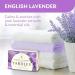 Buy English Lavender Bath Soap Bundle | Moisturizing 4.25 oz Soap with Bath Sponge | Calming & Luxurious Cleansing | Pack of 6 - Buy Online on GoSupps.com