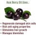 Acai Berry (Euterpe Oleracea) Cold Pressed Carrier Oil | 100% Natural & Pure Undiluted | Ideal for Aromatherapy Skin Care Therapeutic Grade - 15ML with Dropper (1 Bottle) Acai Berry 15 ml (Pack of 1) - Buy Online on GoSupps.com